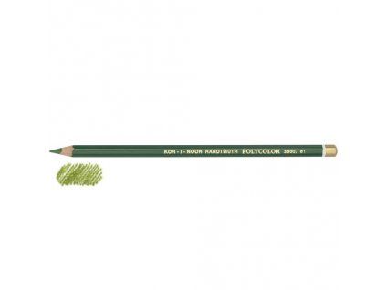 24525 pastelka polycolor zelena sap 61