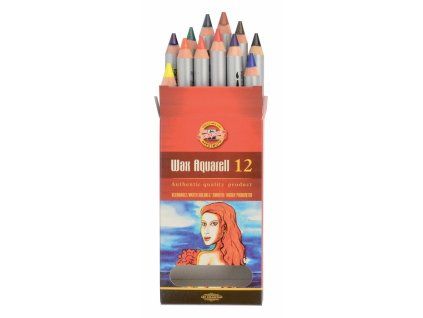 Koh-i-Noor Wax Aquarelle 8282 sada uměleckých akvarelových voskových pastelů