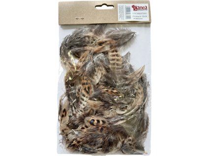 Peříčka Canea hnědá kropenatá 6-10 cm, dekorační peří Titanum pro lapače snů a vazby