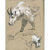 4526 9 pitt artist pen sada 3 1 ks bilych pigmentovych popisovacu