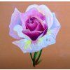 Koh-i-Noor Gioconda Soft Pastel Pencils 8828, prašné pastely pro zdůrazňování obrysů