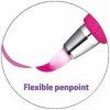 Pentel SES15 Nature 4 barvy, kaligrafický fix se štětcovým hrotem pro menší formáty